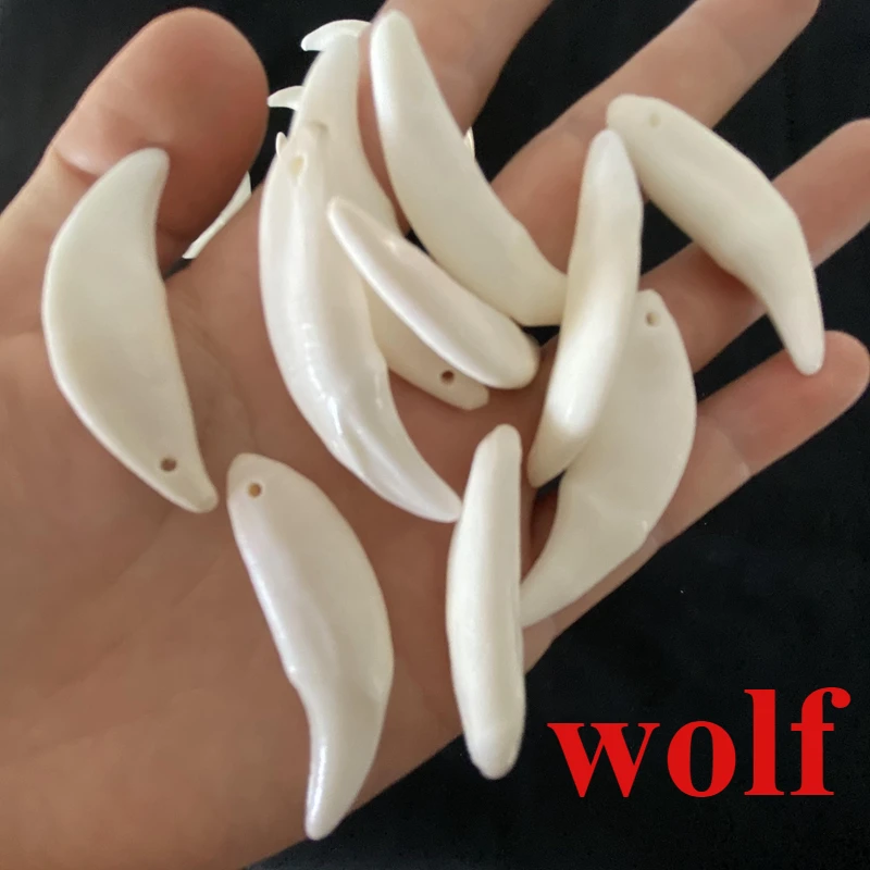 10PCS Real   Tibetan Animal Teeth Tameless Fangs Tooth Amulet Charm Pendants Man Decorate DIY