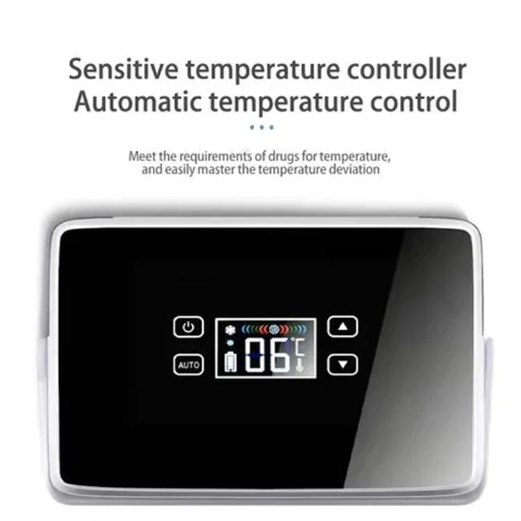 12v 1.5L mini usb refrigerator battery cooler box with portable for insulin