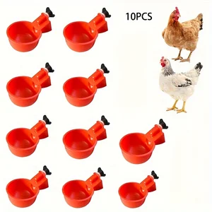 9 Hauptverkäufe BEbedouro Frango - №1