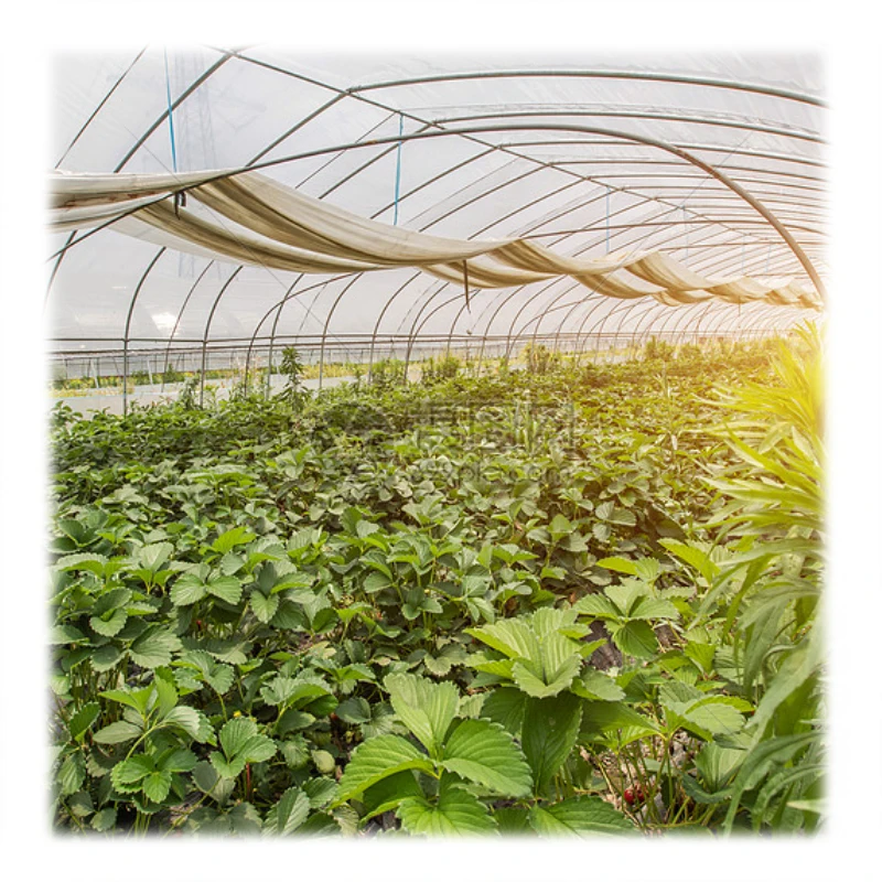 농업용 비닐하우스 24V 100w 환기 자동 창문 개폐기 전동 필름 롤러 와인더 롤업 모터 온실