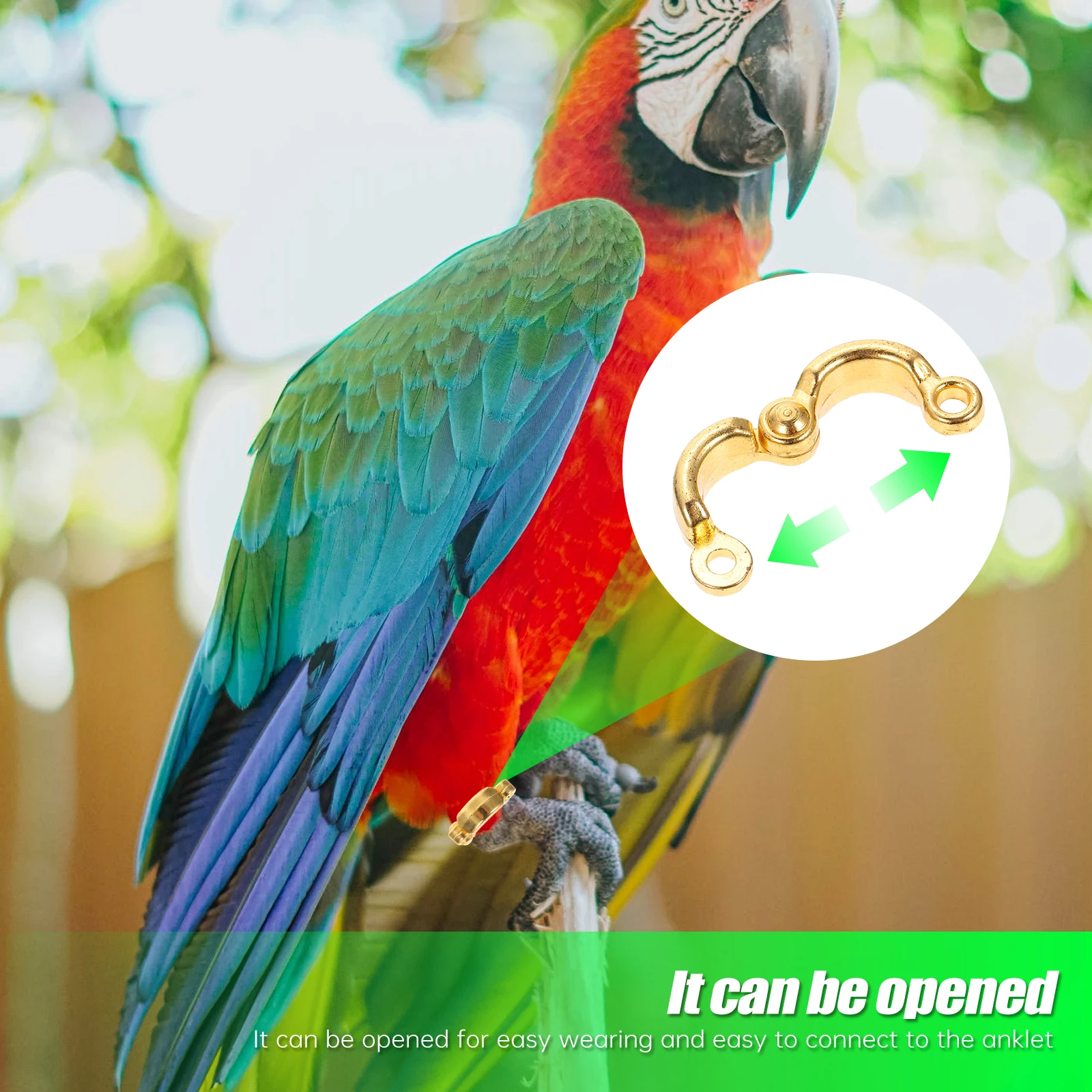 

4 Pcs Stainless Steel Leg Rings Parrot Foot Circle Supplies Strap Flying Training Metal Bird