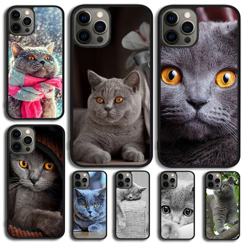 Grey British Shorthair Cat Phone Case Cover For iPhone 15 16 14 XR XS 11 12 13 Mini Pro MAX Plus