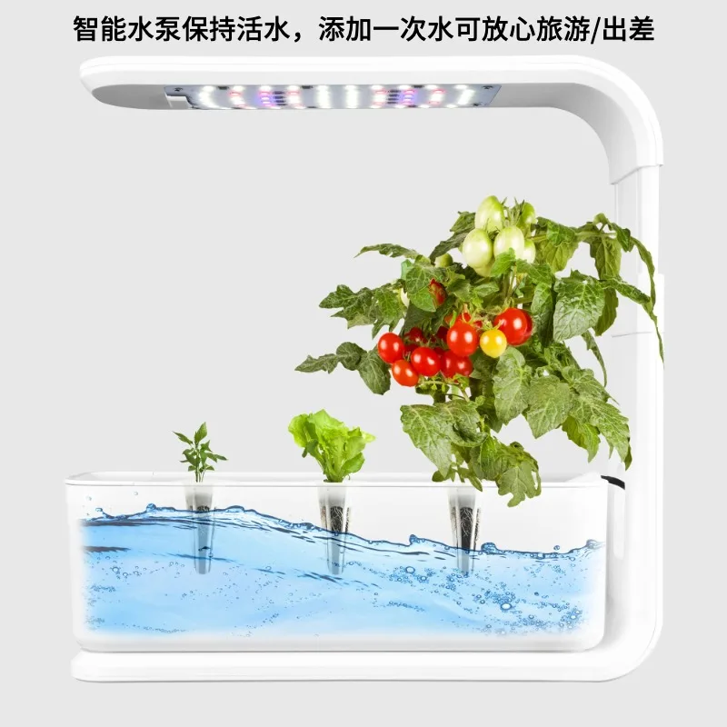 2025年 家庭用インテリジェント水耕栽培野菜栽培機システム - 土を使わない栽培植物と花の植栽ボックス