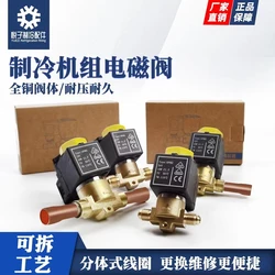 Cold storage usually closed one-way two way refrigeration air conditioning 12V24V solenoid valve coil Freon refrigeration unit v