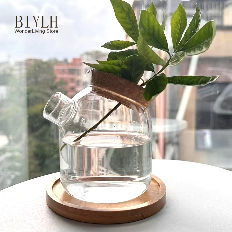 Glass vase Transparent Bottle That Can be Hydroponic For home Decoration Desktop Placement Garden Flower Stand Small Flowerpots