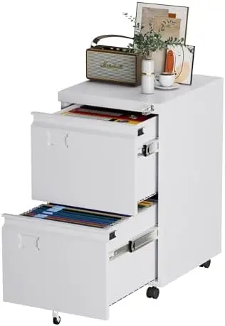 2 Drawer Metal File Cabinet with Lock and Wheels, White | 14.57