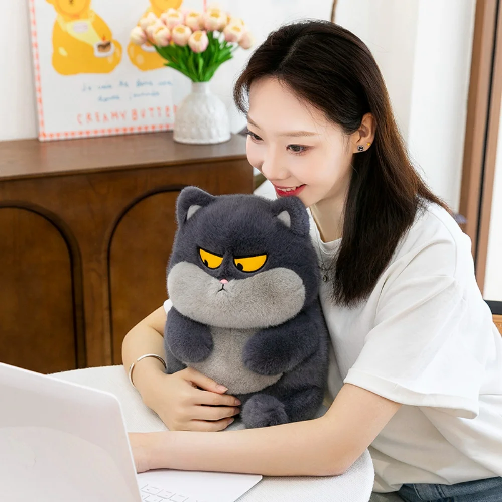 Bonito engraçado expressão gato brinquedo de pelúcia macio artesanal gato pelúcia animal boneca travesseiro decoração para casa aniversário presente natal