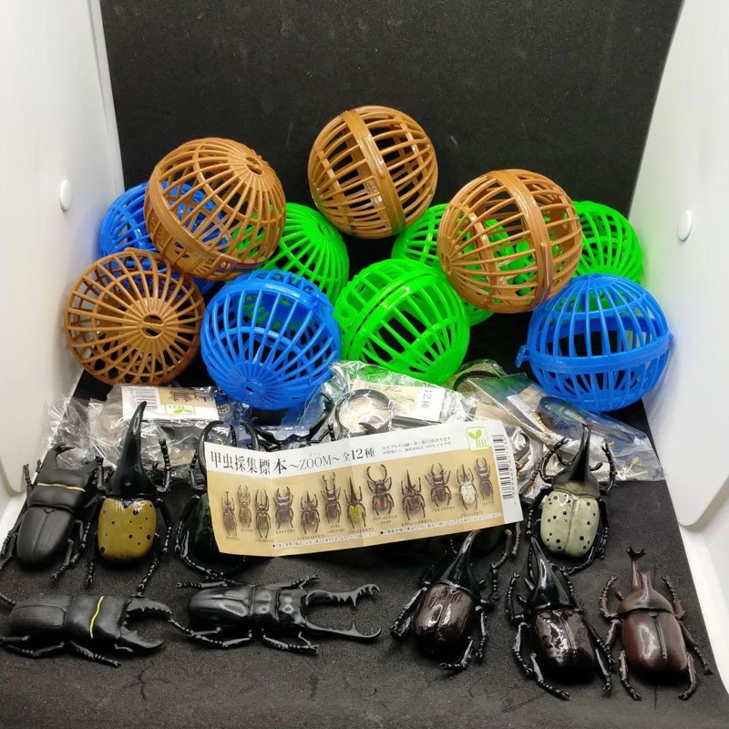 ألعاب كبسولة Yell مجموعة خنفساء نابضة بالحياة عينة زووم مع مكبر 12 نوعًا على شكل صافي على شكل قذيفة الحشرات شخصيات مصغرة