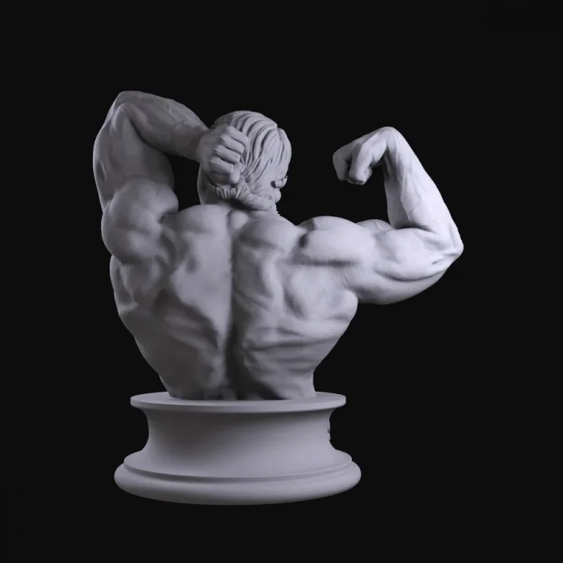 Fitness Trophy Model - Schwarzenegger Roni - High-Precision Detailed Plaster Bust as a Collectible Display Item as a Gift view 3
