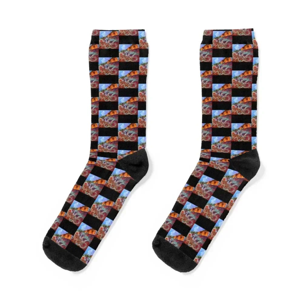 

Widespread Panic at Red Rocks Premium Socks moving stockings hiphop Soccer Non-slip Socks Girl Men's