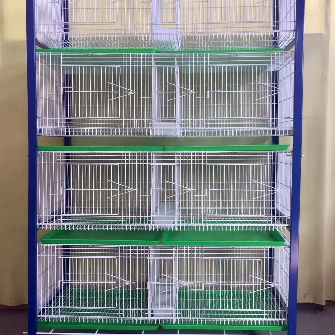 High-end Iron Frame Large Cage with Plastic Tray for Racing Pigeons Pigeon Loft Modern Design