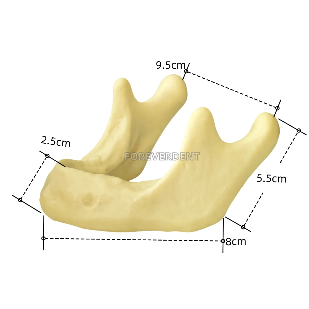 Variant: M2022 x1piece