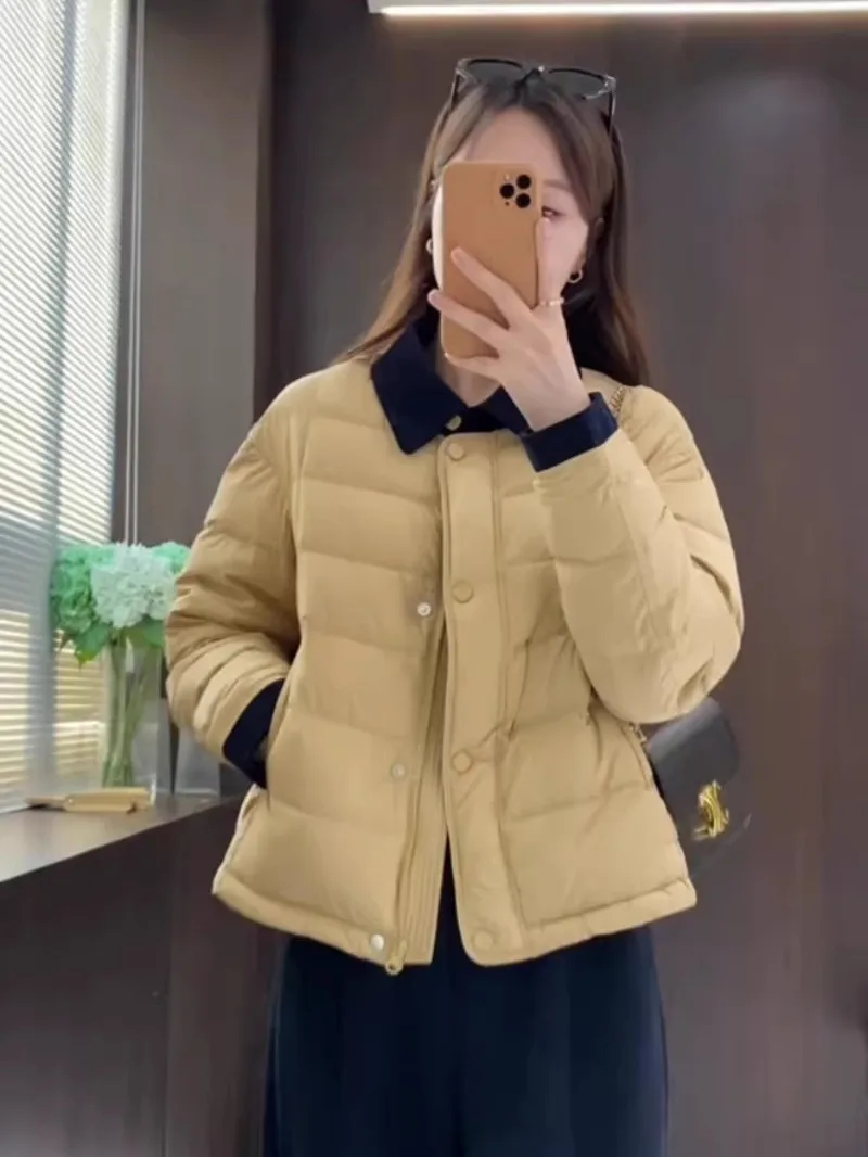 

Lightweight Korean Style Stand Collar down Jacket Women's Winter New Fashion Casual Small Size Warm White Duck down Coat