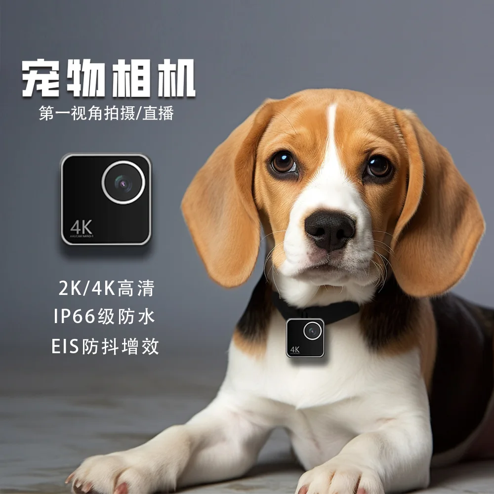Animal cat dog pet camera first view smart collar neck camera