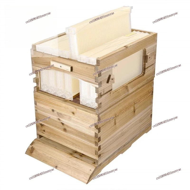 

The special cedar wood wax for Italian bees automatically flows honey, and the bees in the self-flowing bee box