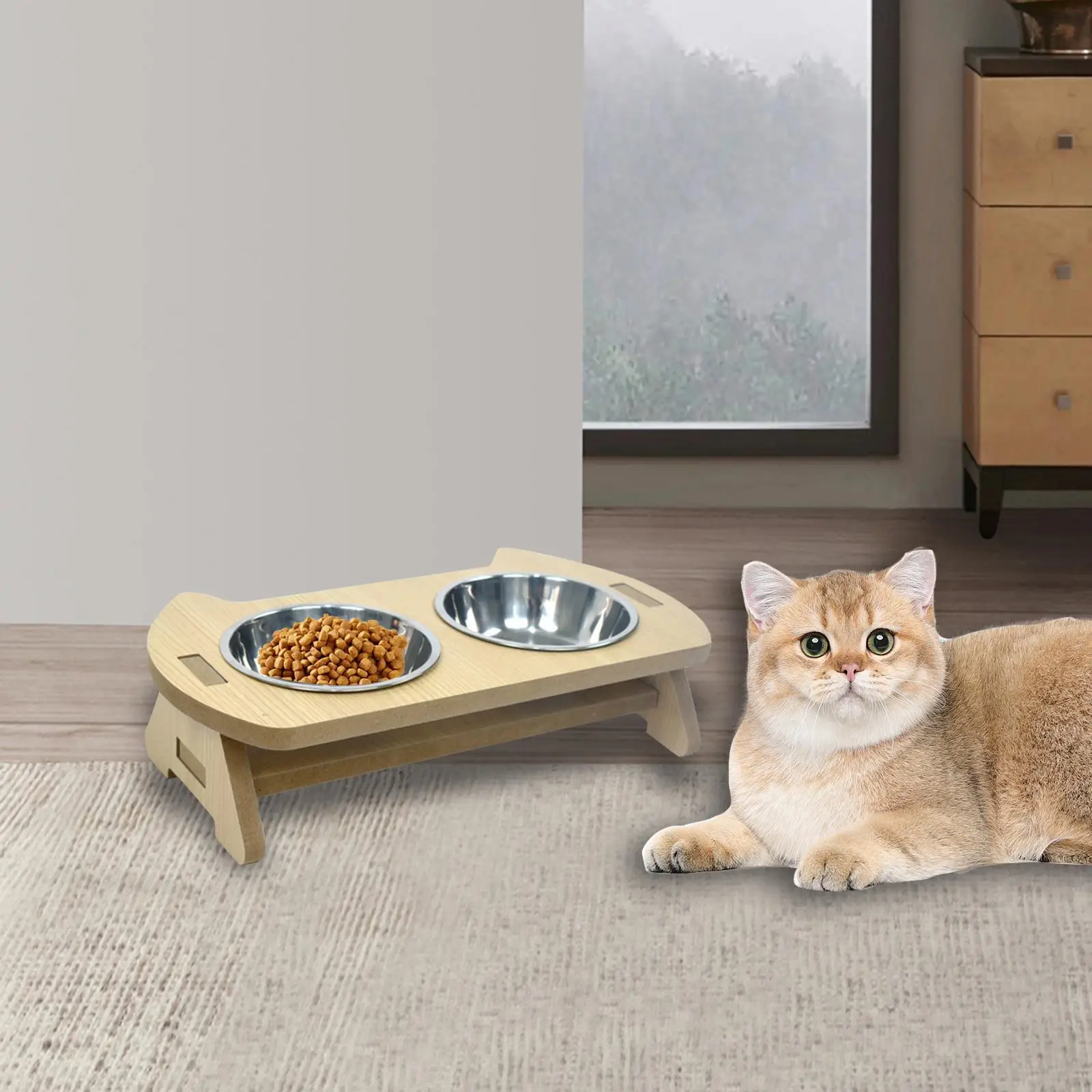 Cat Bowl Elevated No Spill Non Slip Raised Pet Food and Water Bowl Dish for Cats