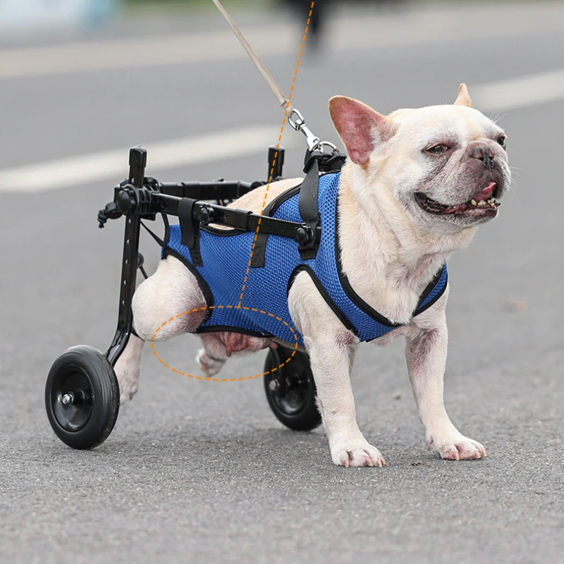 

Pet Trolley Adjustable Hind Leg Disabled Dog Mobility Aid Light Rehabilitation Legs Elderly Dogs Wheelchair Walk Trolley Tools