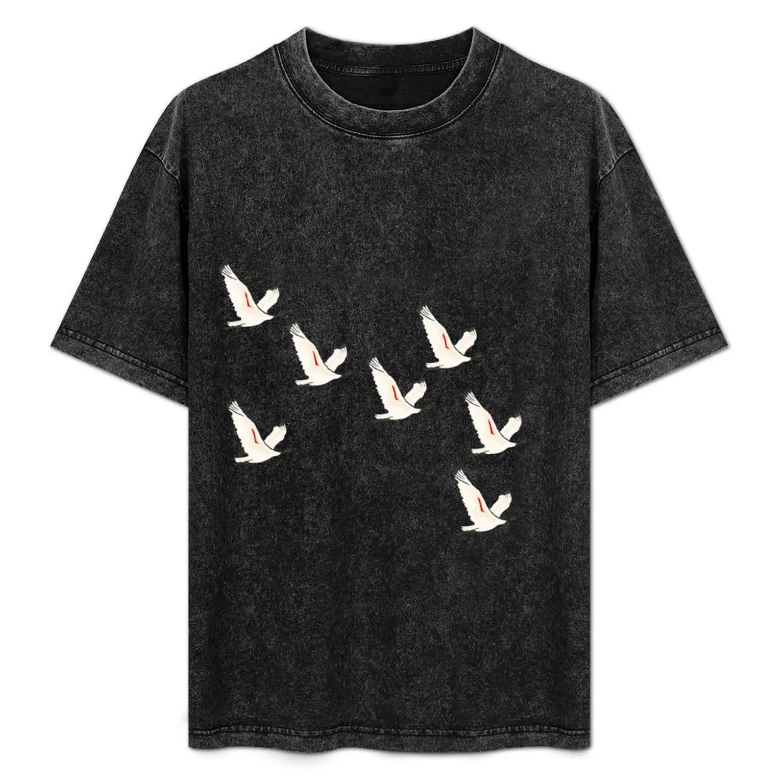 

Ibis Majesty T-Shirt street wear custom t-shirts plain plain t shirts men