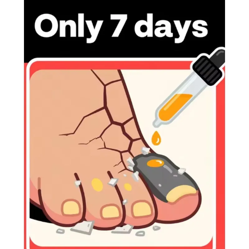 HT Rejuvenator - Technologia zapobiegająca powstawaniu grzybienia - Regulacja temperatury i czujnik bezpieczeństwa