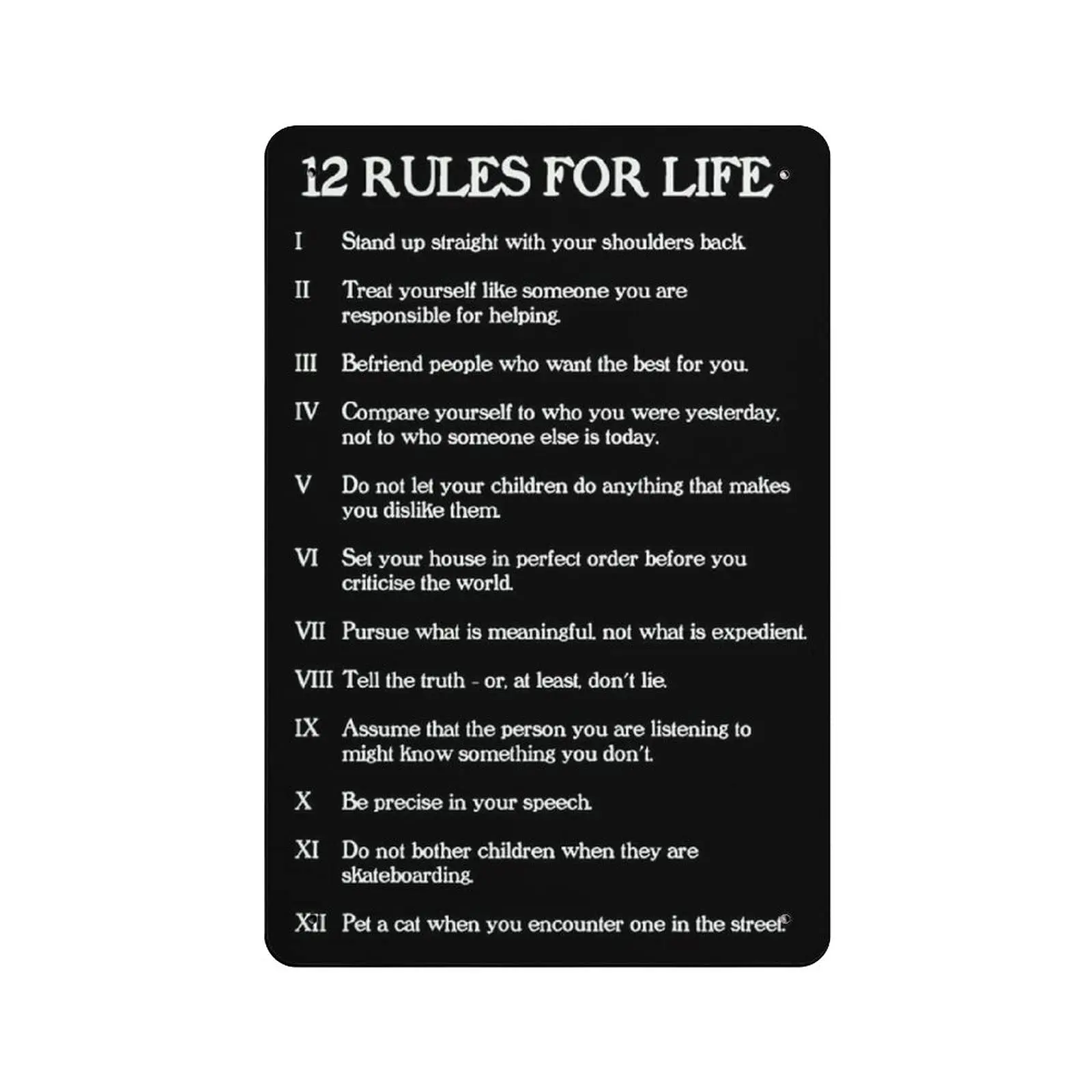 PPFINE 12 Rules for Life Stand Up Straight with Your Shoulders Back Metal Tin Sign Artwork Poster Outdoor Sign Vintage Decor Pla