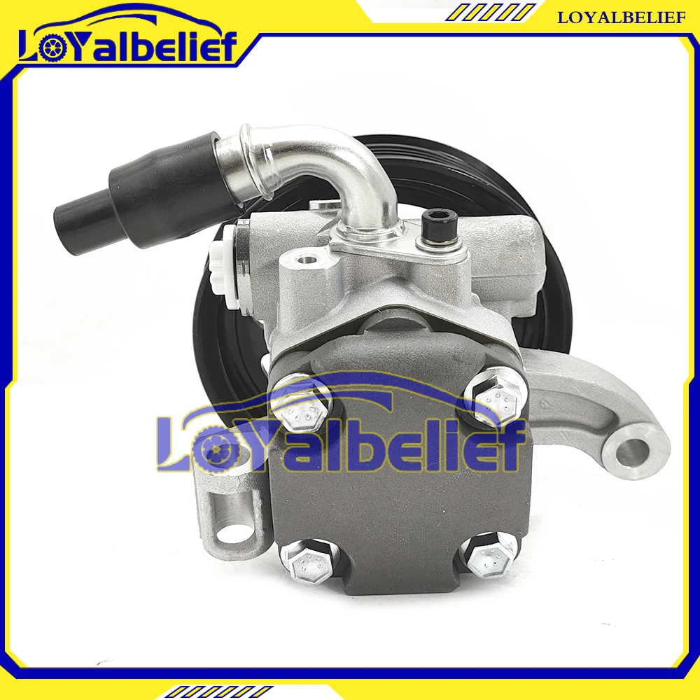 Power Steering Pump  For 2008-10 Chevrolet Captiva Equinox 3.6L  25803117 ,12589753,20902363,20945812,20954812,20976855