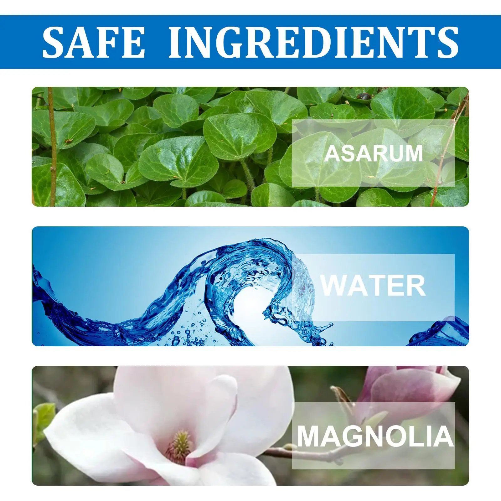 Eelhoe 10g 아름다운 치아 클렌저 치약 얼룩 제거 프로바이오틱 치약 신선한 숨결 치아 미백 도구