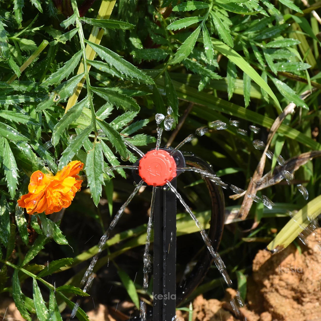 Kesla 5-50m Gewächshaus automatisches Bewässerungs system Kit Garten Mikro Tropf bewässerung Tropfer DIY für Topf Bonsai Pflanzen gemüse – Detail 3