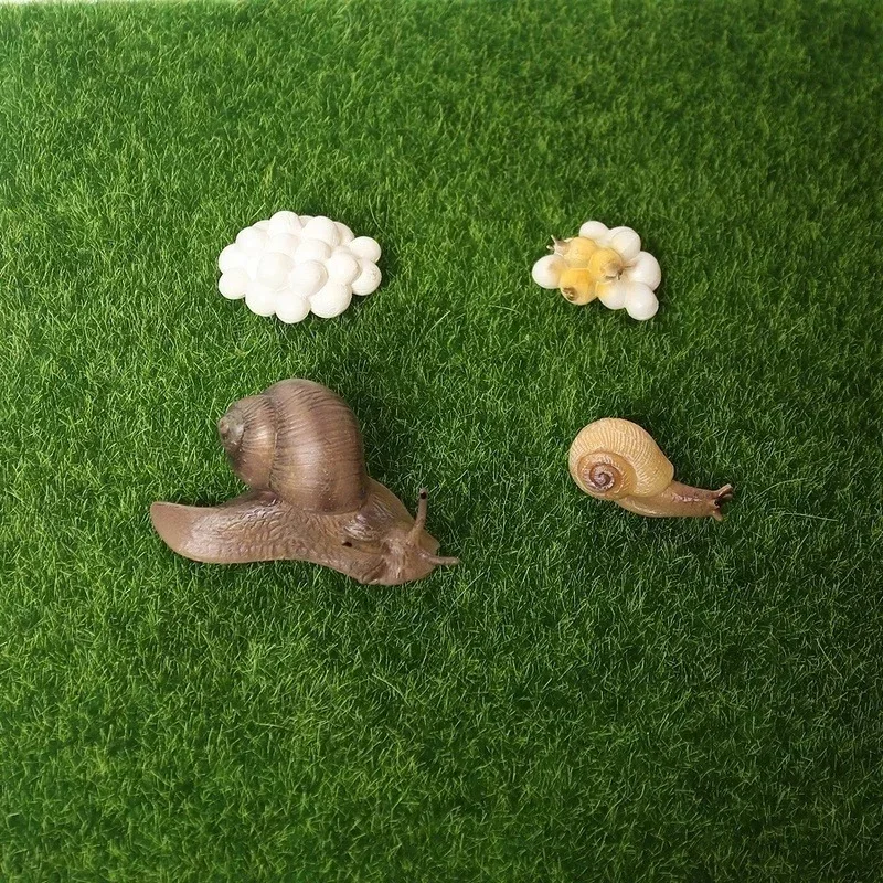 2026 Realistic Resin Snail Animal Model Kawaii Creative Snail Model Outdoor Life Cycle of Snail Diagram Miniature Garden Decor