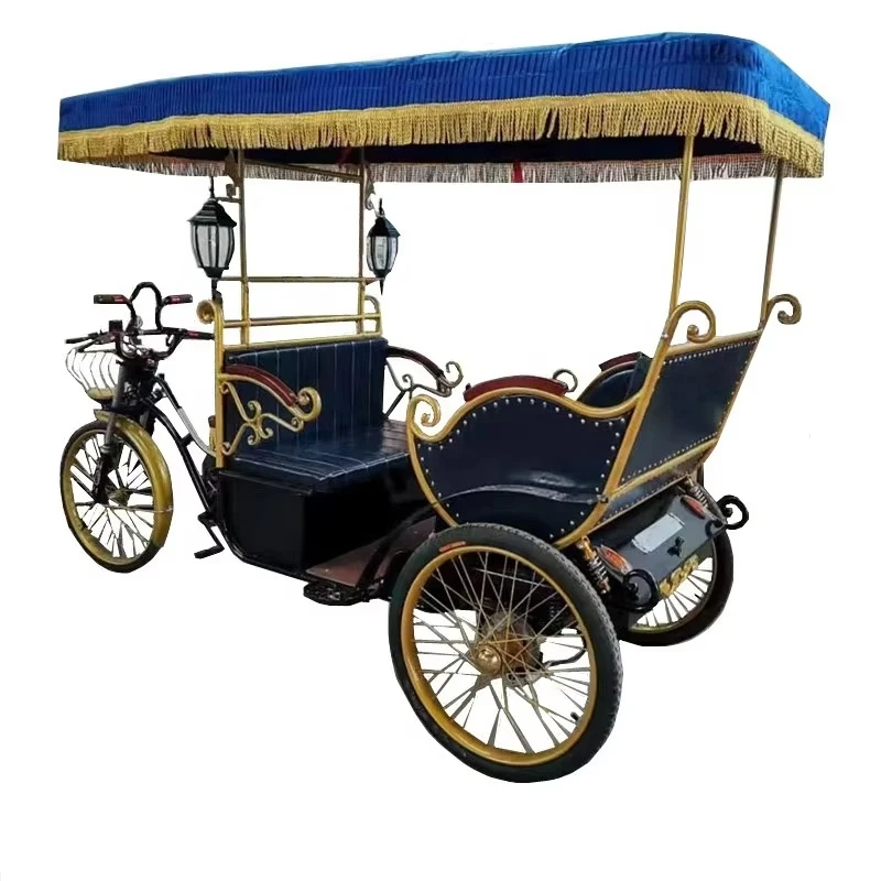 Electric tricycles, tricycles, electric tricycles for 2/3/4 tourist attractions, electric sightseeing tricycles for tourism
