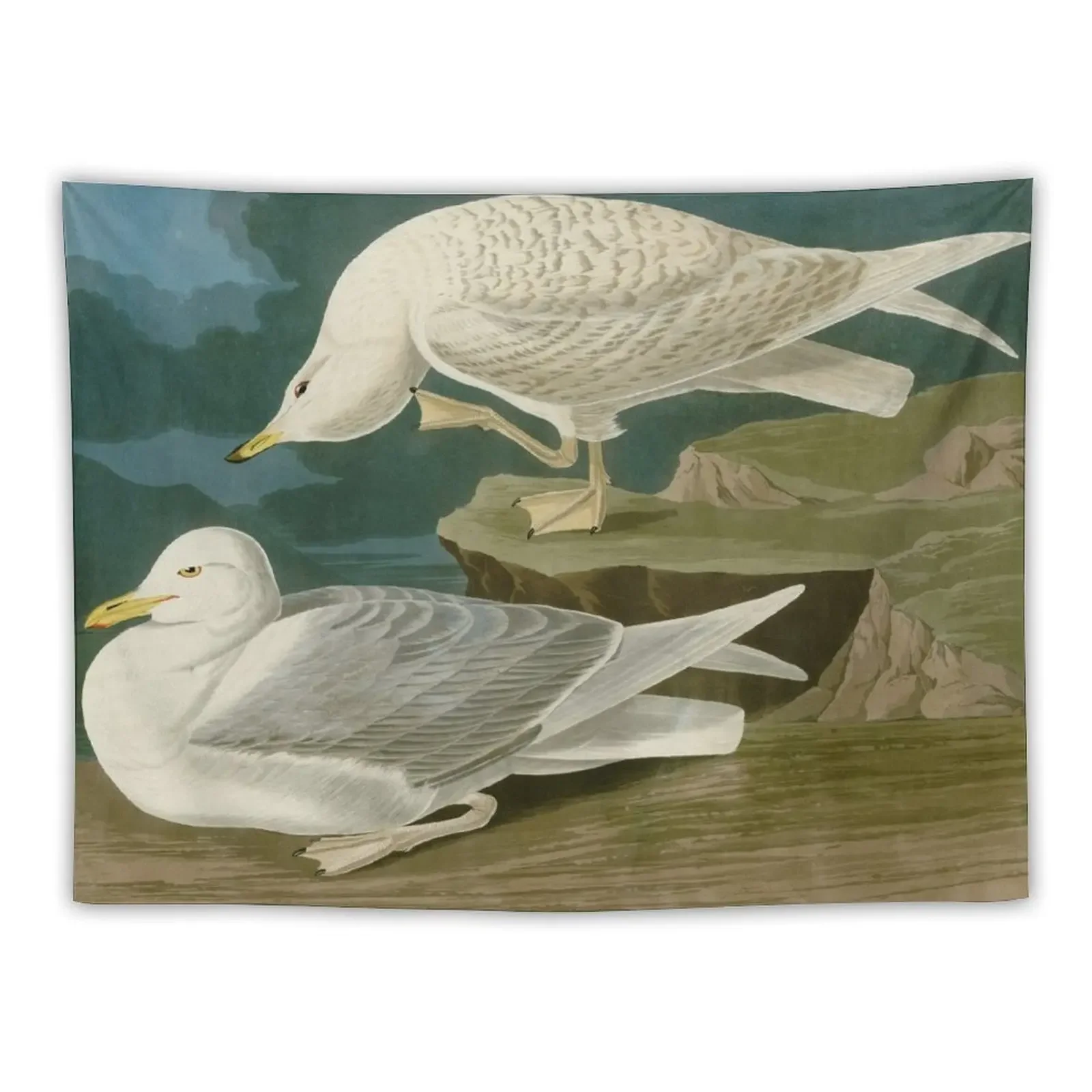 White-winged silvery Gull by John James Audubon Tapestry Home Decorating Wall Mural Mushroom Wall Decoration Items Tapestry