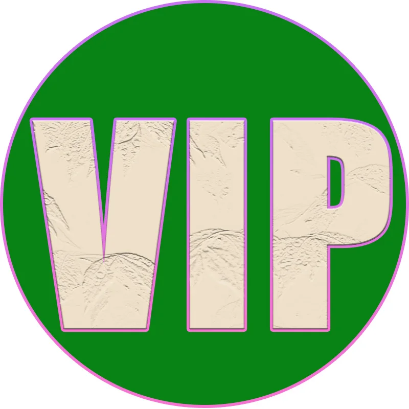 

Vip Order/dedicated Freight Link Agreement Cost
