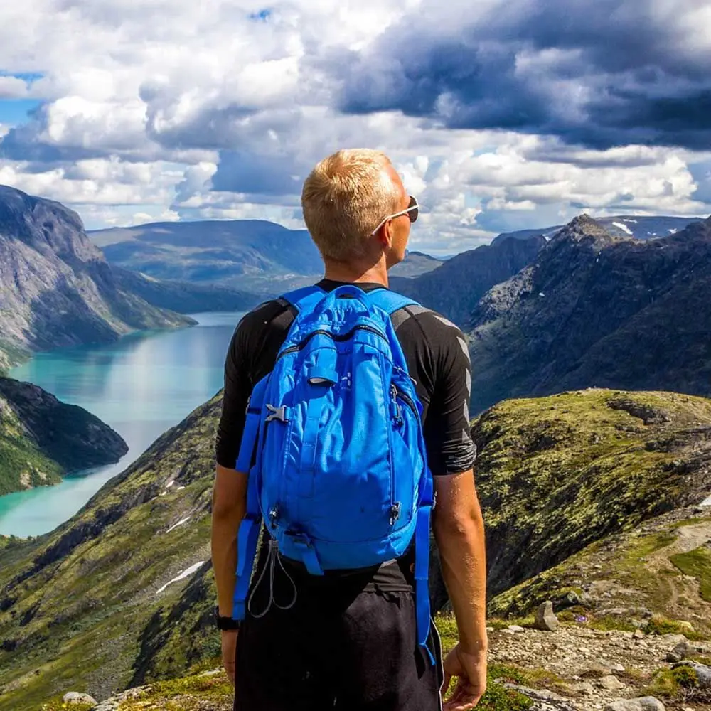 

Hiking Cable Tie Strap Cable Tie Plastic Cable Tie Sport Gear Decorative Belt