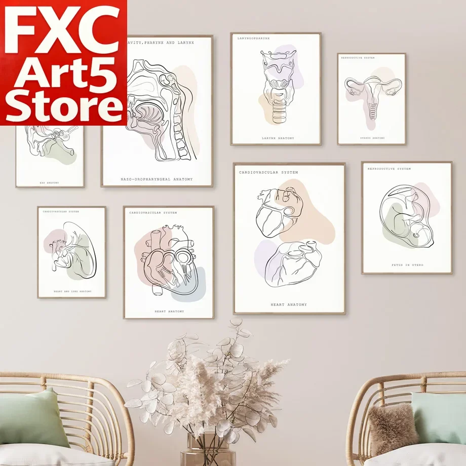 1PC Frameless Minimalist Colorful Anatomy Line Medical Poster Prints Wall Art Mural Ear Larynx Heart Canvas Painting Doctor Gift