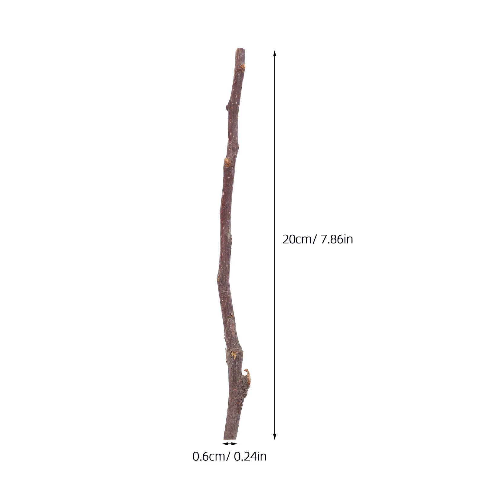 50 قطعة خشب البتولا الطبيعي سجل العصي ريفي فروع جافة للحرف اليدوية حفل زفاف المنزل صور الدعائم زينة الحرفية الأغصان العصي #5