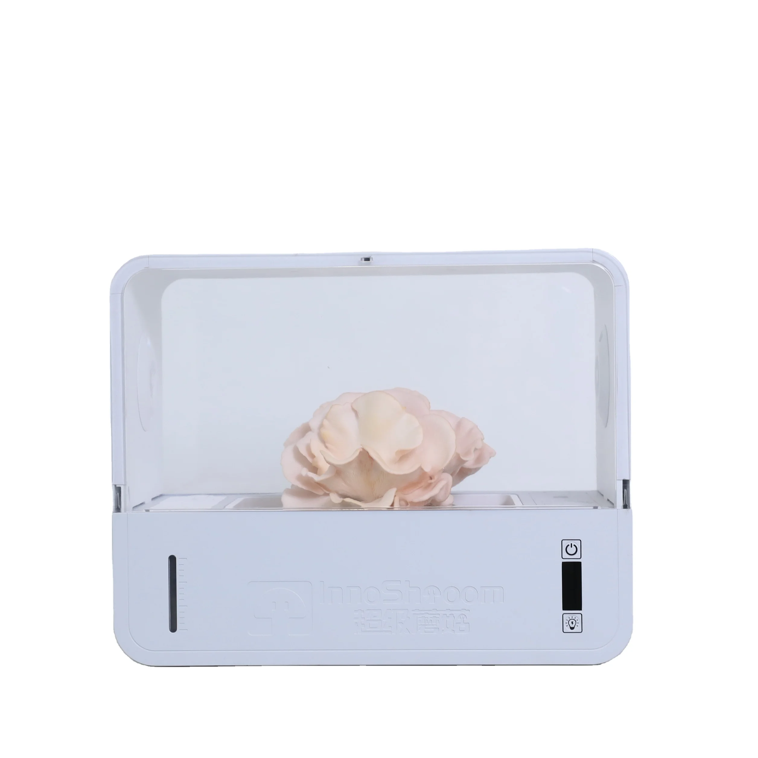 Small  Mushroom Growing Container Mushroom incubator mini desk Mushroom Garden