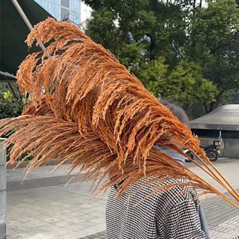 Large Dried Flowers Pampas Grass Tall,Boho Home Decor,Natural Pompas Floral for Wedding Party Arrangement Living Room Decor