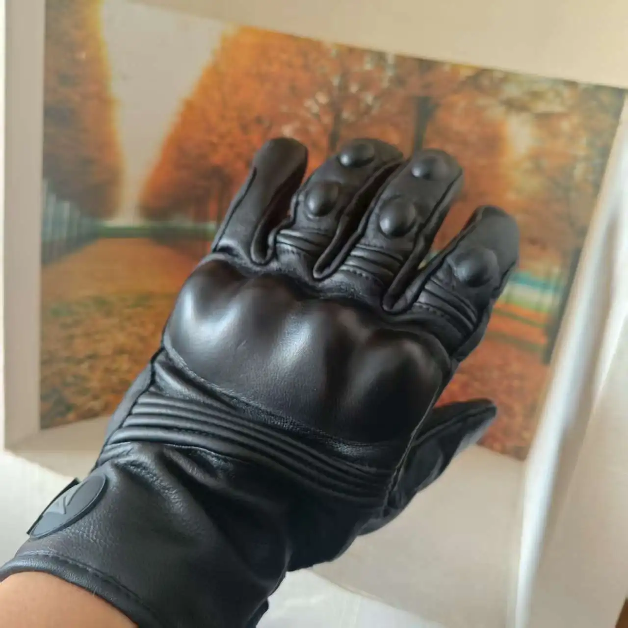 Motowolf Guantes Térmicos para Motociclista con Función de Pantalla Táctil para Conducción en Invierno, A Prueba de Viento y Confort cálido para Hombres y Mujeres