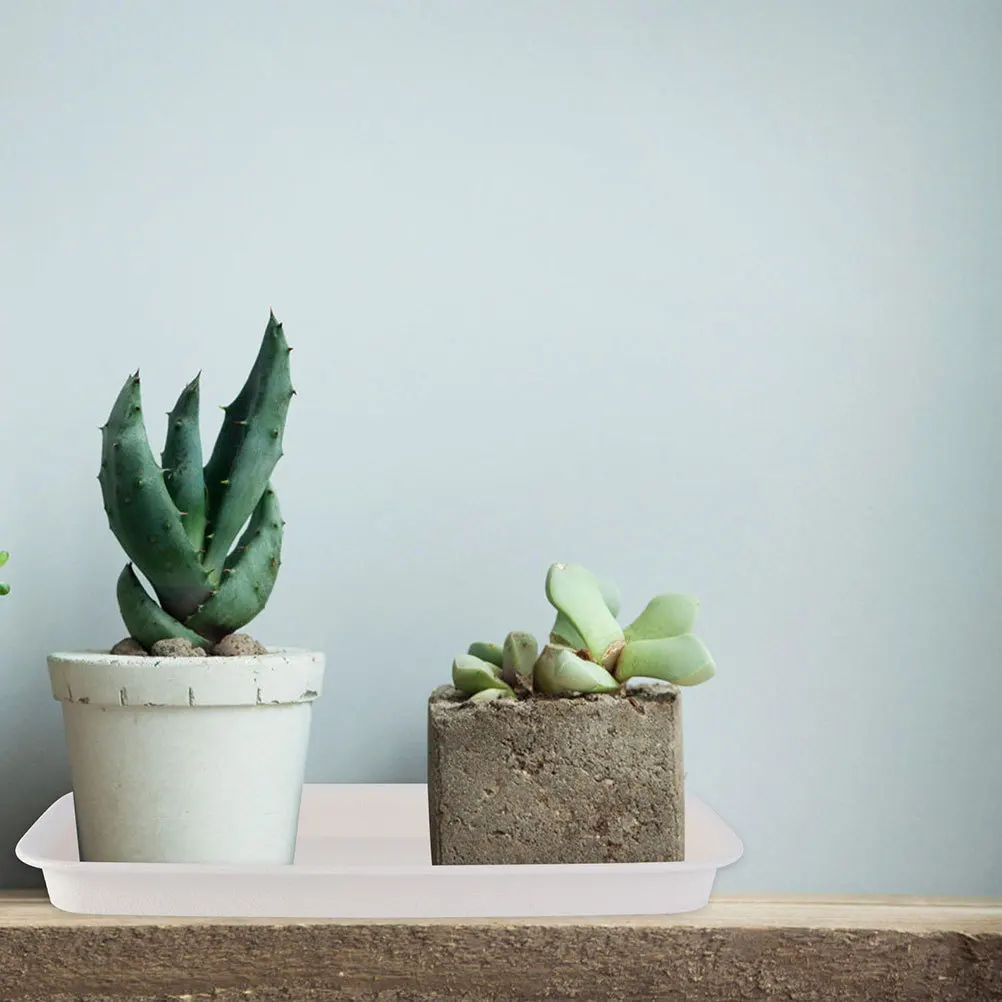 3 Buah Pot Bunga Persegi Panjang dengan Tatakan Plastik 21x8,5cm Warna Beige, Anti Bocor, Tahan Lama, Nampan Pot Tanaman, Nampan Tanam