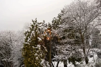 Wltoys 144001 144002 144010 144016 144018 124017-18-19-16 メタルシャーシプロテクター ボトムプロテクション 1/14 RCカー アップグレードパーツ