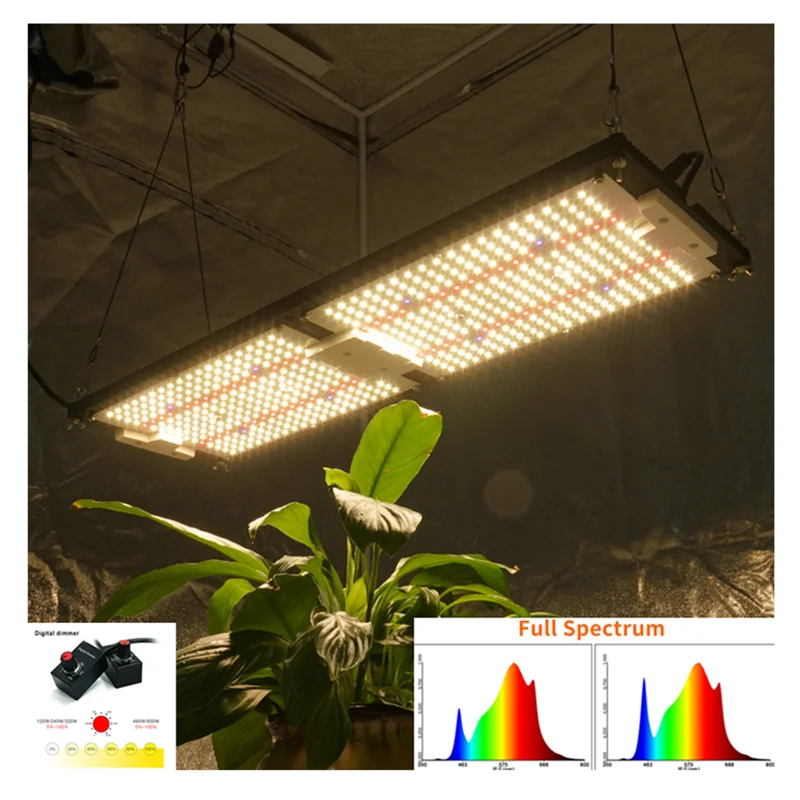 KingBrite 240 واط LM301H الكم LED تنمو ضوء مصباح الأشعة تحت الحمراء UV الطيف الكامل Phytolamp لوحات للنباتات الزراعة المائية