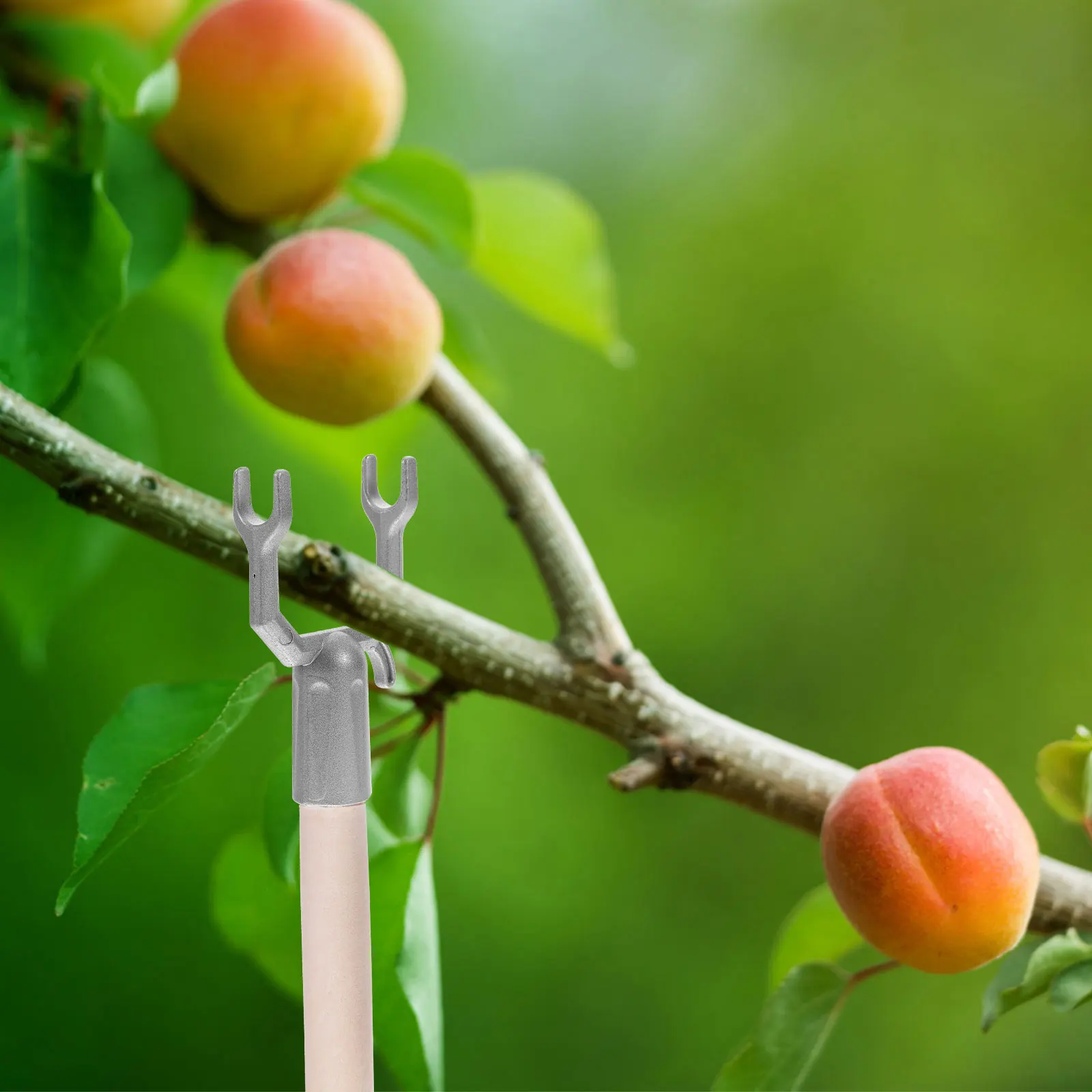 

6pcs Metal Branch Support Aluminum Alloy Tree Stakes Kit Plant Brace Garden Accessories Fruit Vegetables Vineyard Supports