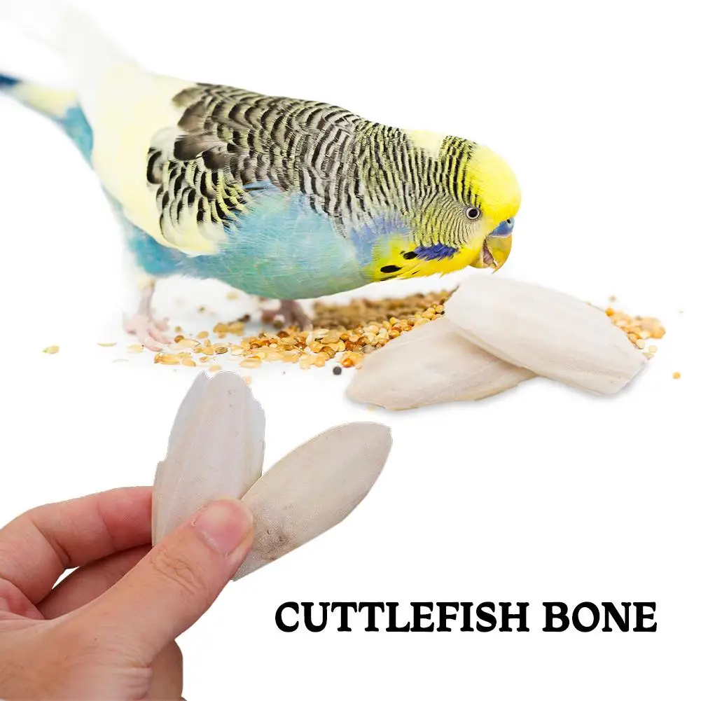 Pet Parrot Perch Hamster Hanging Bell Calcium Supplements Molars Cuttlefish Bones Chewing Toys Bird Food Parakeet Cockatiel