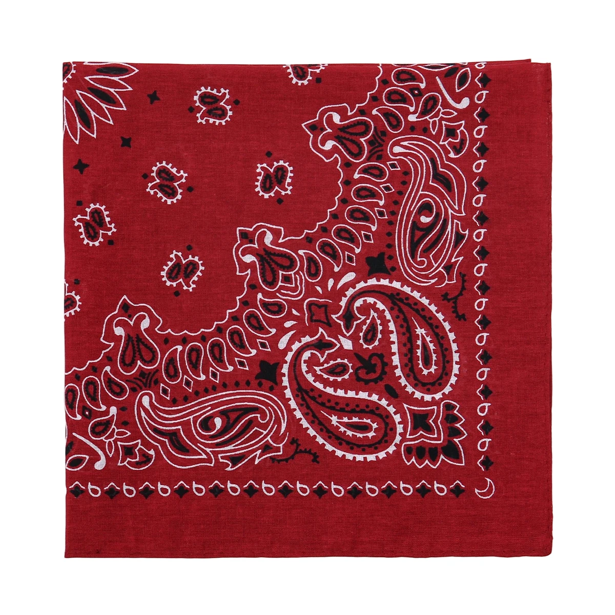 2025 New Fashion Print Paisley Cotton Square Scarf Men Hip-hop Headband Women Hair Band Bandana Motorcycle image 2