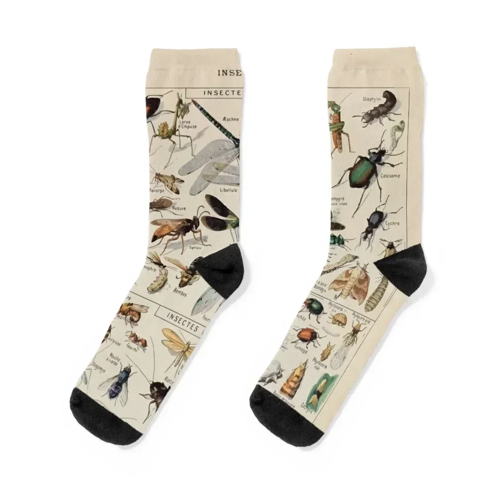 

Adolphe Millot insectes Socks Run Soccer aesthetic Socks Women's Men's