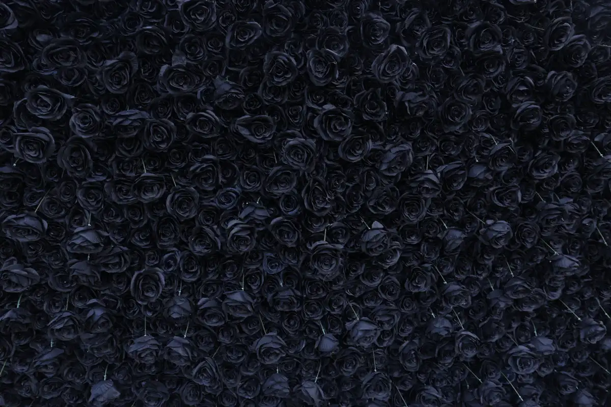 Luxury 3D Solid color series blue black rose Flower Wall, Artificial Rose Fabric Floral Wall, Outdoor Wedding Backdrop Decor