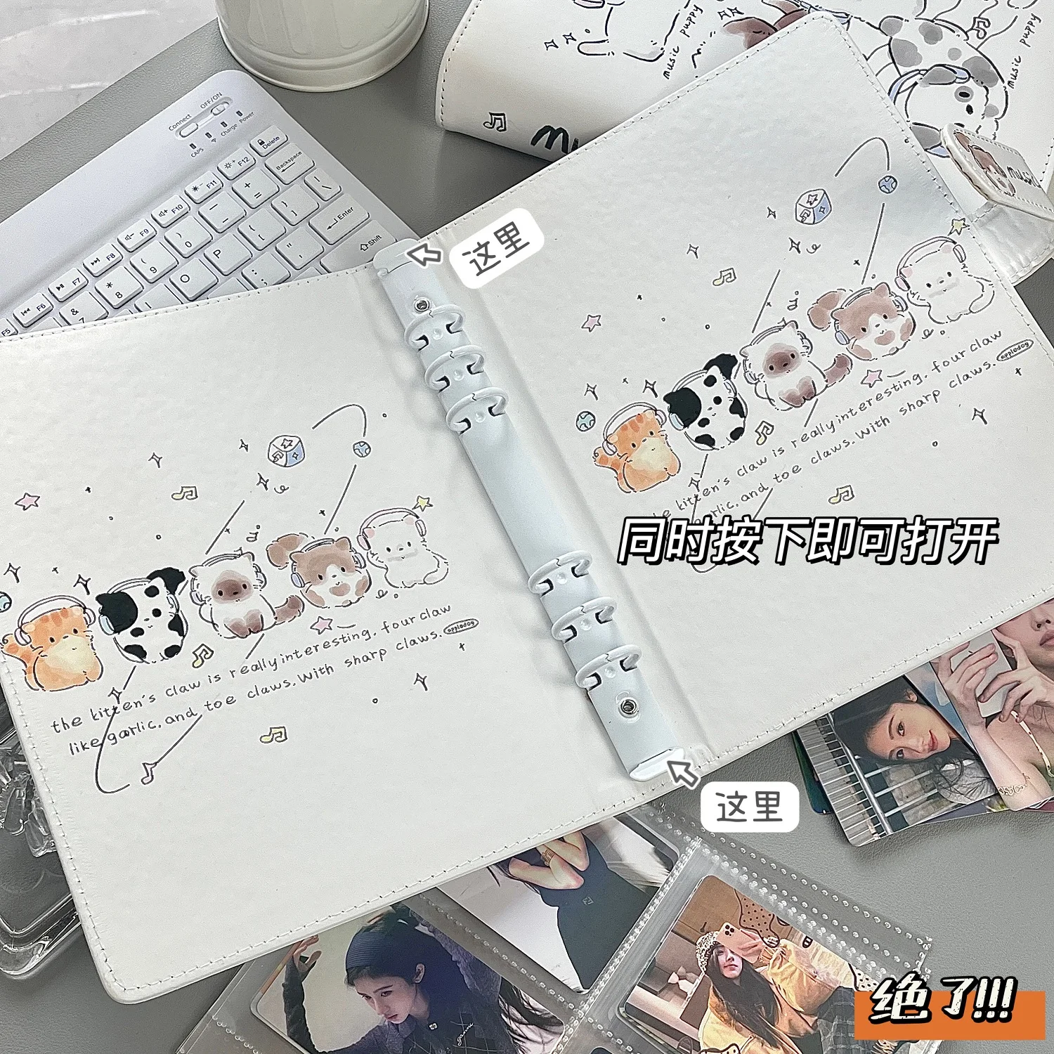 Cute Music Cat A5 Photo Album, - Polaroid Photo Album recension och pris