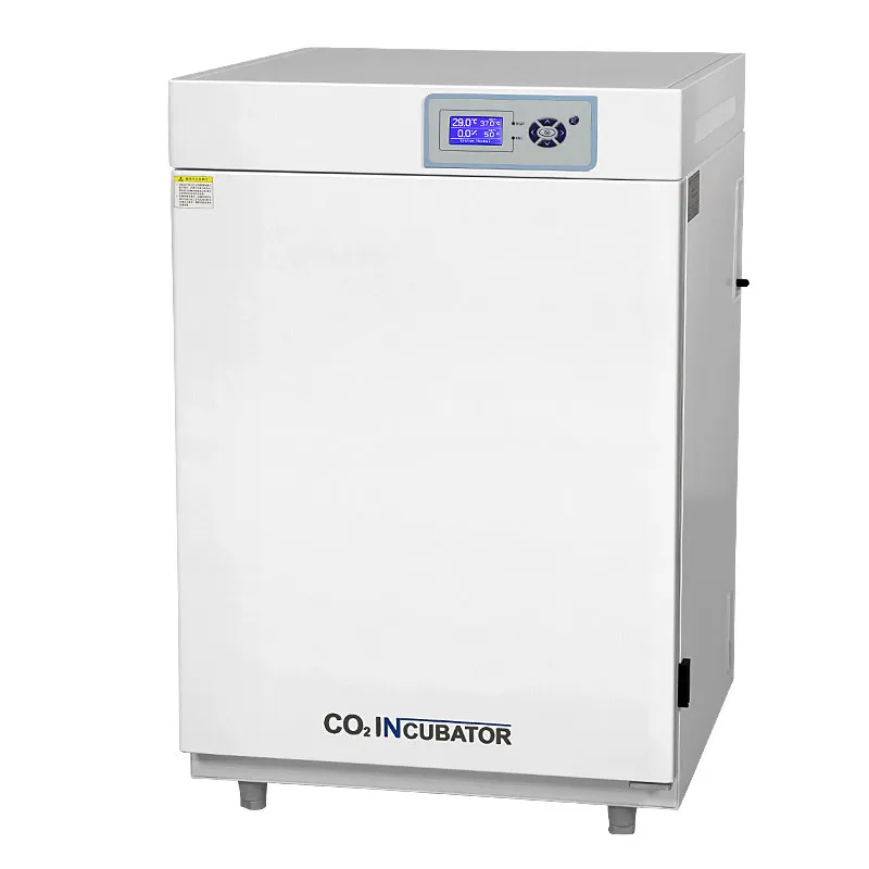 LMM laboratory constant temperature anaerobic microbial cryogenic cell incubator