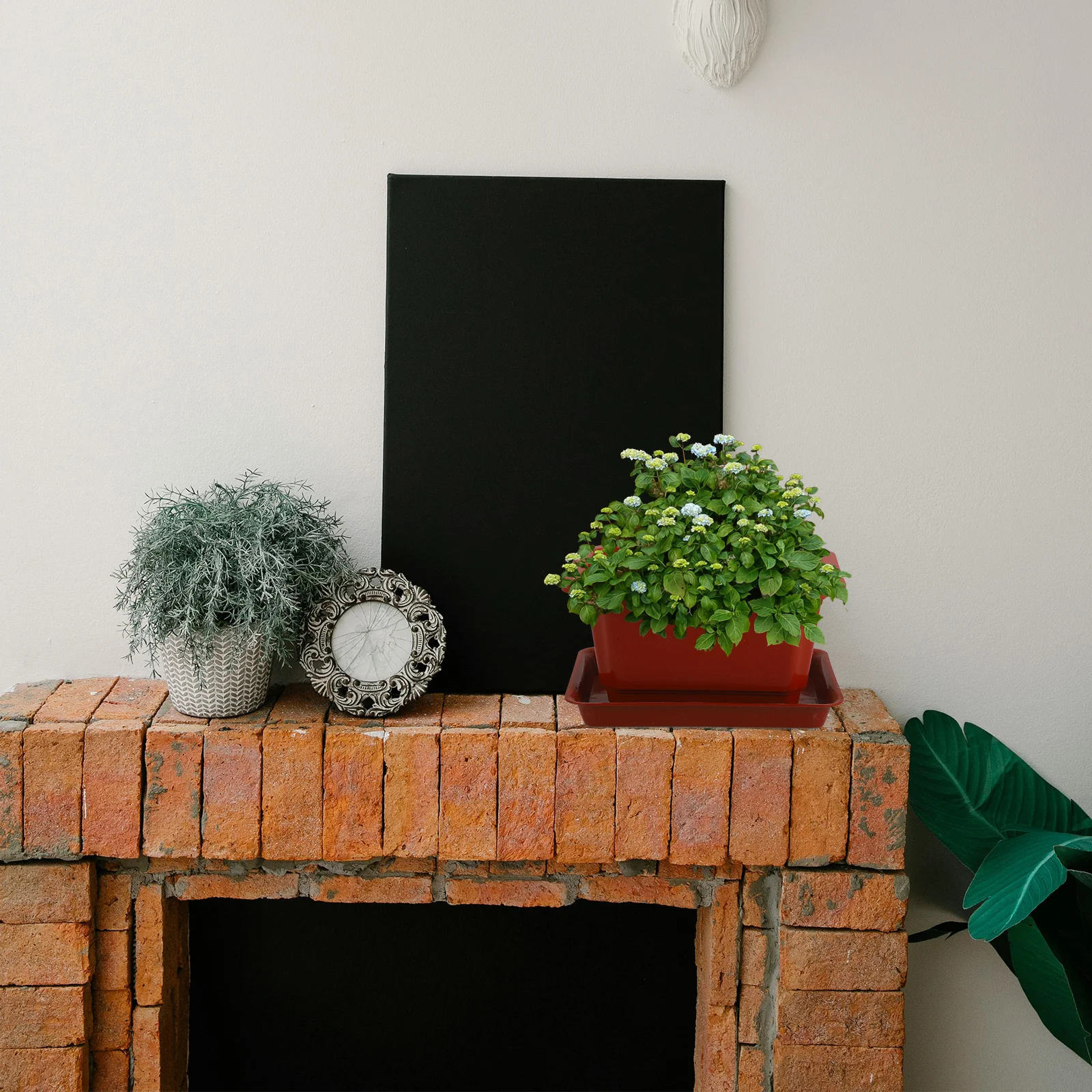 

5 Sets Plastic Bonsai Pot Stable Flowerpot Large Size Suitable for Household Office Plant Succulents Decoration