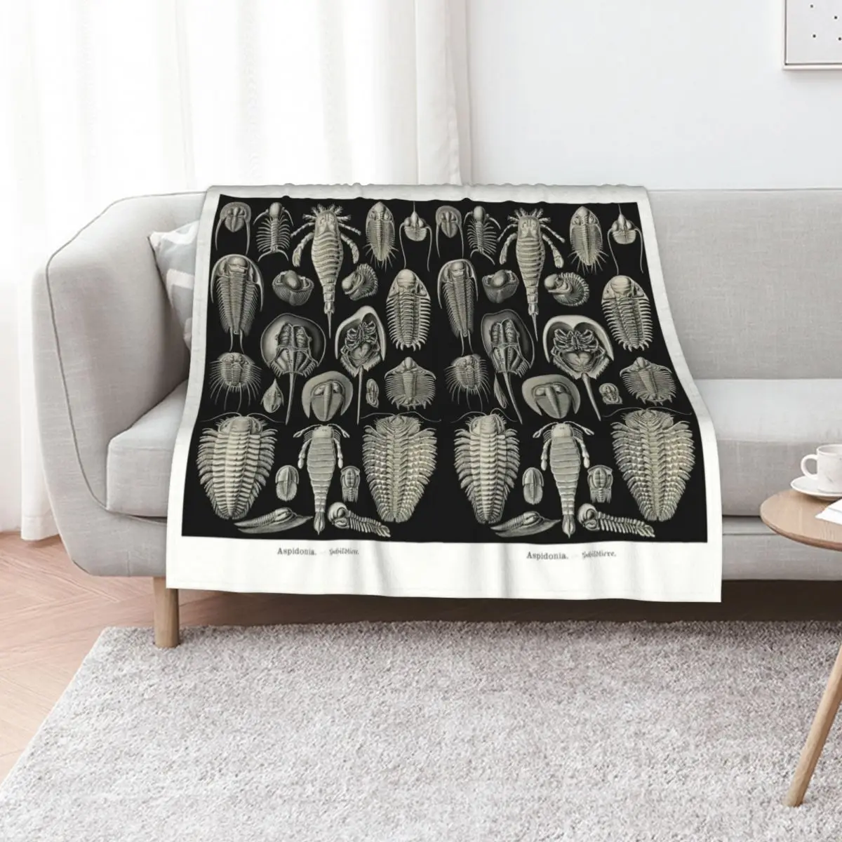 Plate 47. Trilobites and Sea Scorpions Throw Blanket For Decorative Sofa Thins Luxury decorative Plush Fashion Sofas Blankets