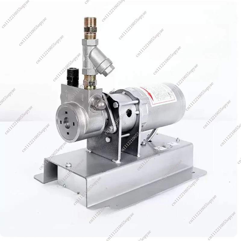 

12V LPG Transfer Pump Portable Propane Gas Pump for Car Home Use